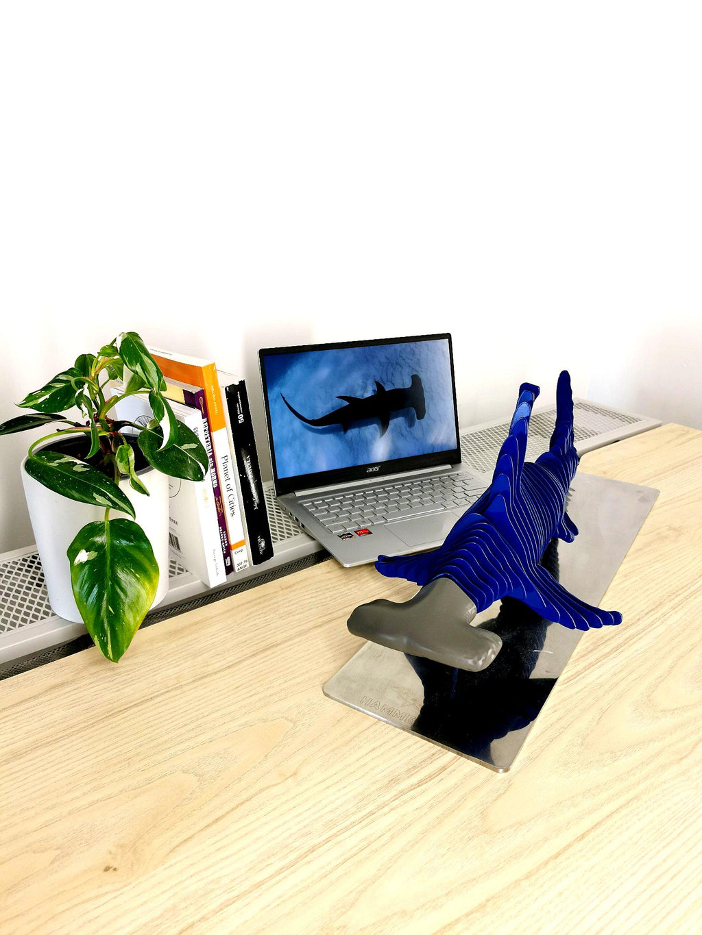 Depthline Hammerhead Shark