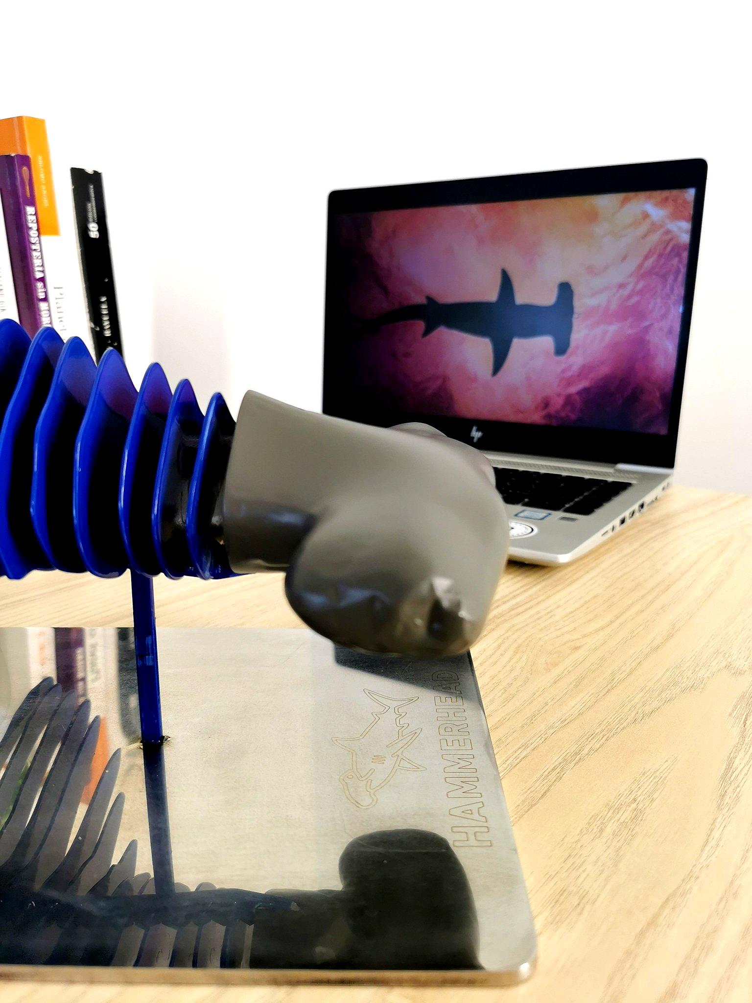 Depthline Hammerhead Shark